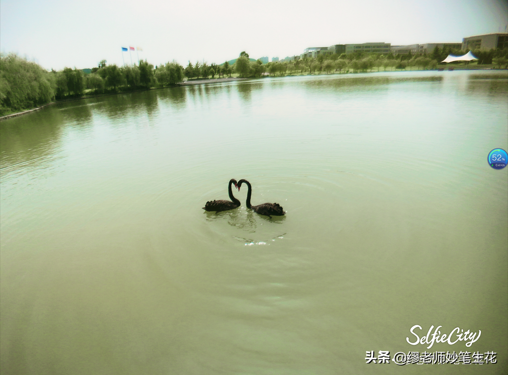 河海大学、中国矿业大学，两所大学分别有什么特点，该怎么选择？