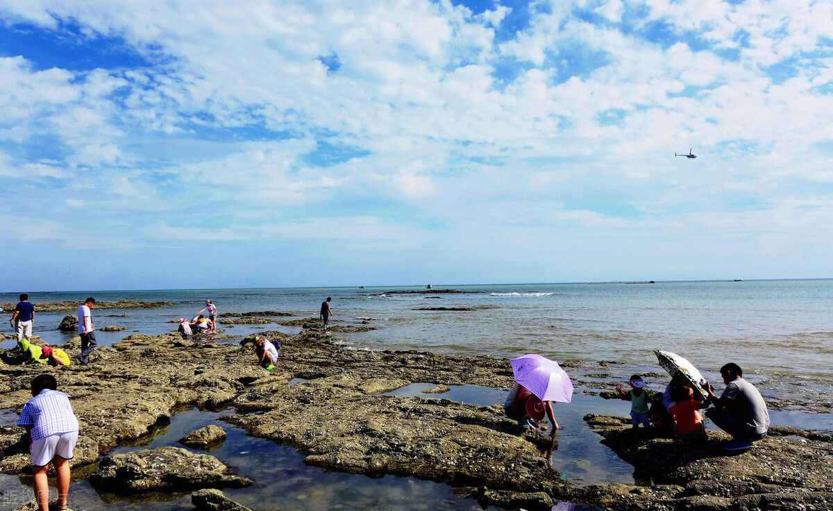 庄河赶海去什么地方（大连赶海地体验捉鱼拾贝抓螃蟹）