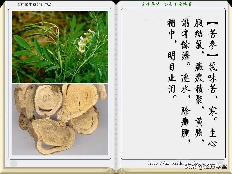 《神农本草经》全册图文解析 建议收藏