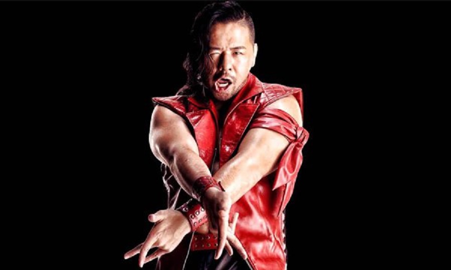 wwe2013年9月3日(因小时候受人欺负开始练摔跤,wwe老中医的摔角成名