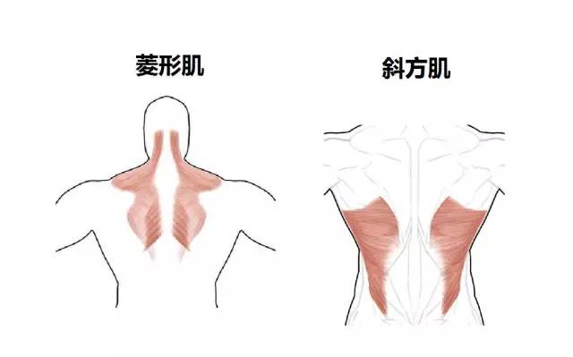 瑜伽四柱式和俯卧撑有什么区别？