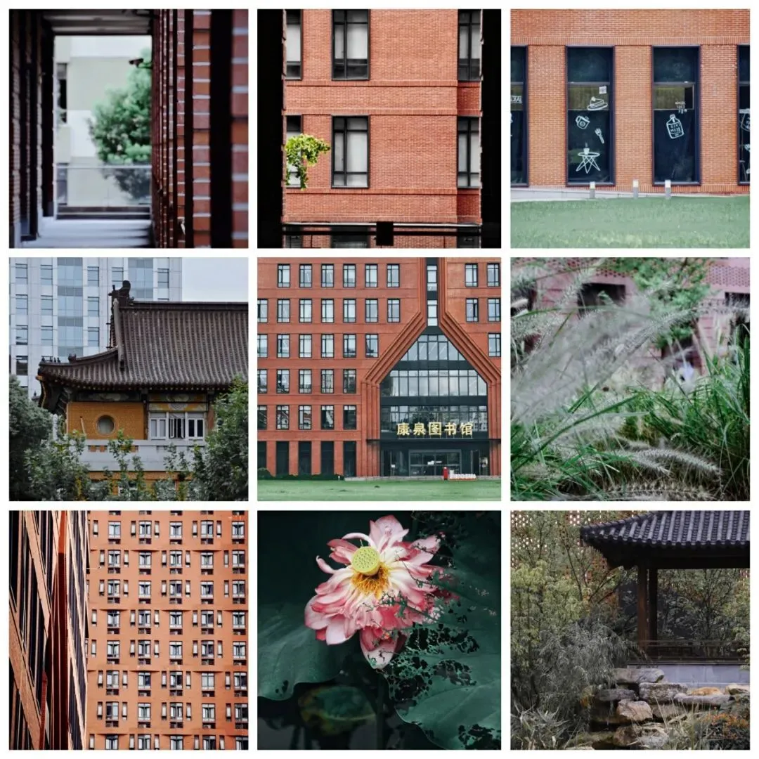 震撼!全国高校最美秋景大PK,哪所高校最最最惊艳?