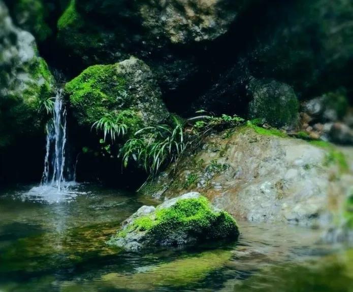 青山绿水，问道青城山