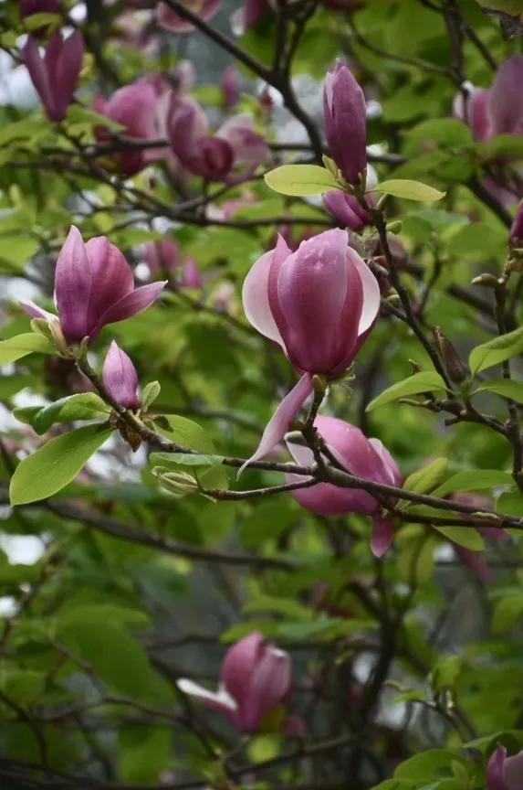 广州涉外经济职业技术学院：春招在即，选择“涉外”给你N个理由