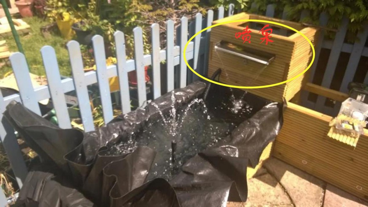 假设有个院子，我一定自己做个连着卡座的鱼池，能坐能赏鱼又省钱