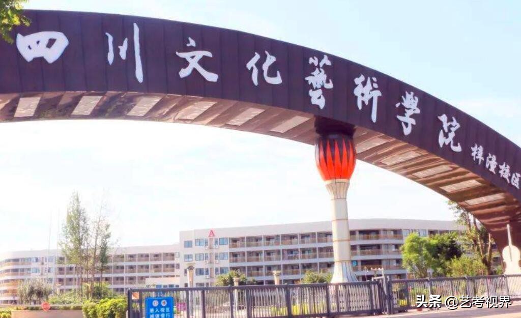 四川文化艺术学院2022年美术与设计学类校考考试大纲