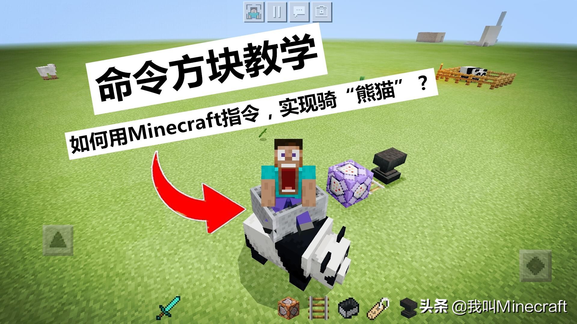 我的世界：熊猫如何驯服？新版MC的3种乘骑方法，你选哪个？