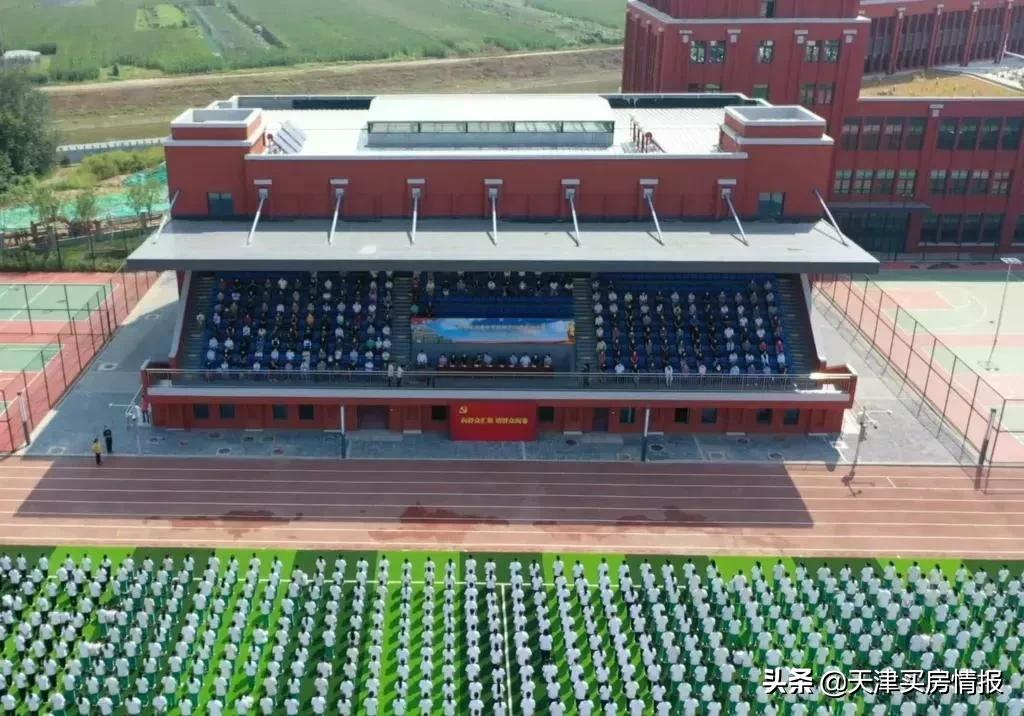 西青教育抖起来了？14个最新落地品牌学校大盘点