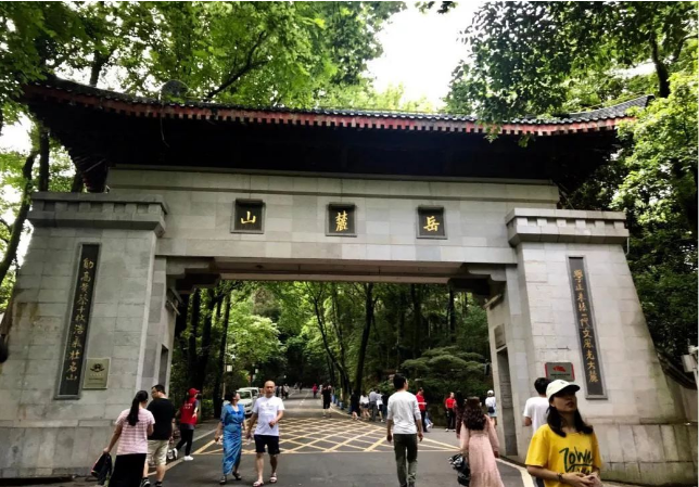东方科技学院（湖南高校）