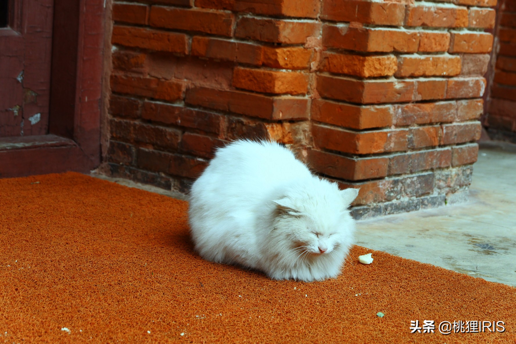 探秘钱塘江畔浙大神秘校区，是百年历史，是青春洋溢，是岁月静好