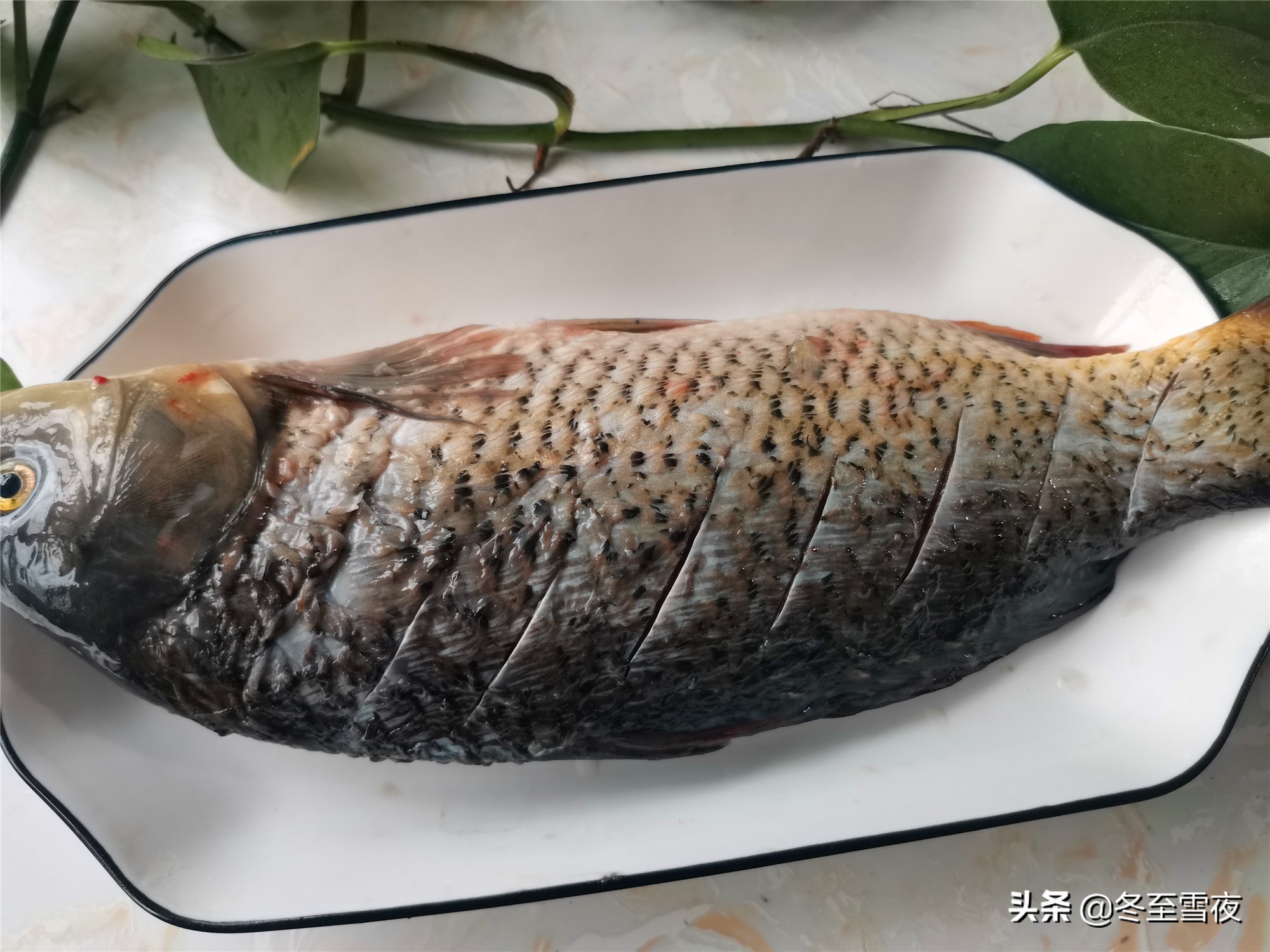 东北炖鱼的家常做法（东北铁锅炖鱼不用去餐馆自己在家做）