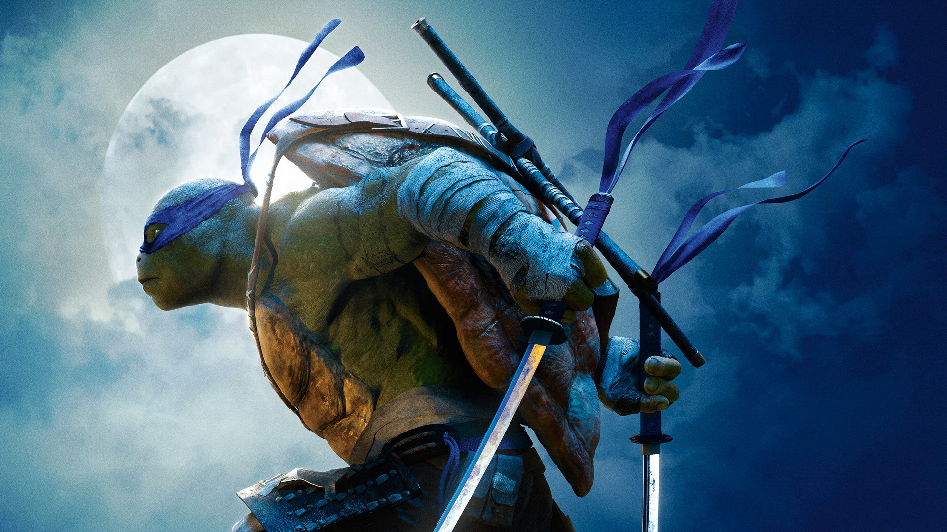 乌龟中的战斗龟,《忍者神龟》四兄弟性格迥异,名字各有寓意