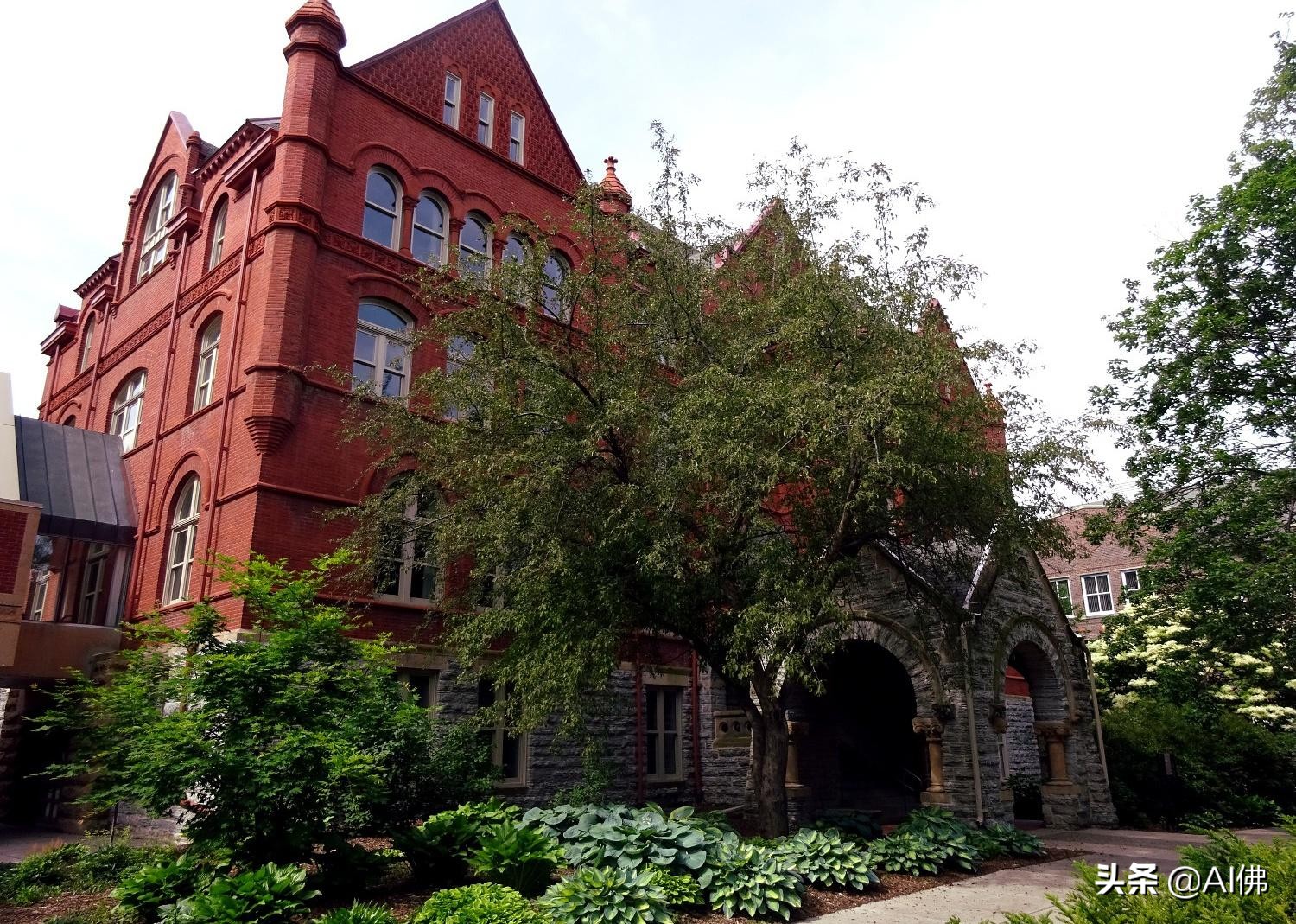 美国50所在大城市的最好大学