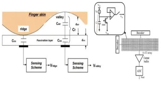 What is an optical fingerprint sensor? Capacitive fingerprint sensor ...