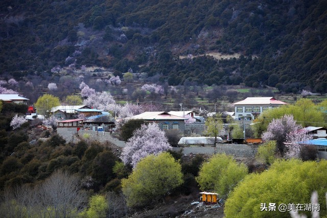 高考喜报传佳音，湖南多地高中成绩出炉，看是不是你所在的学校