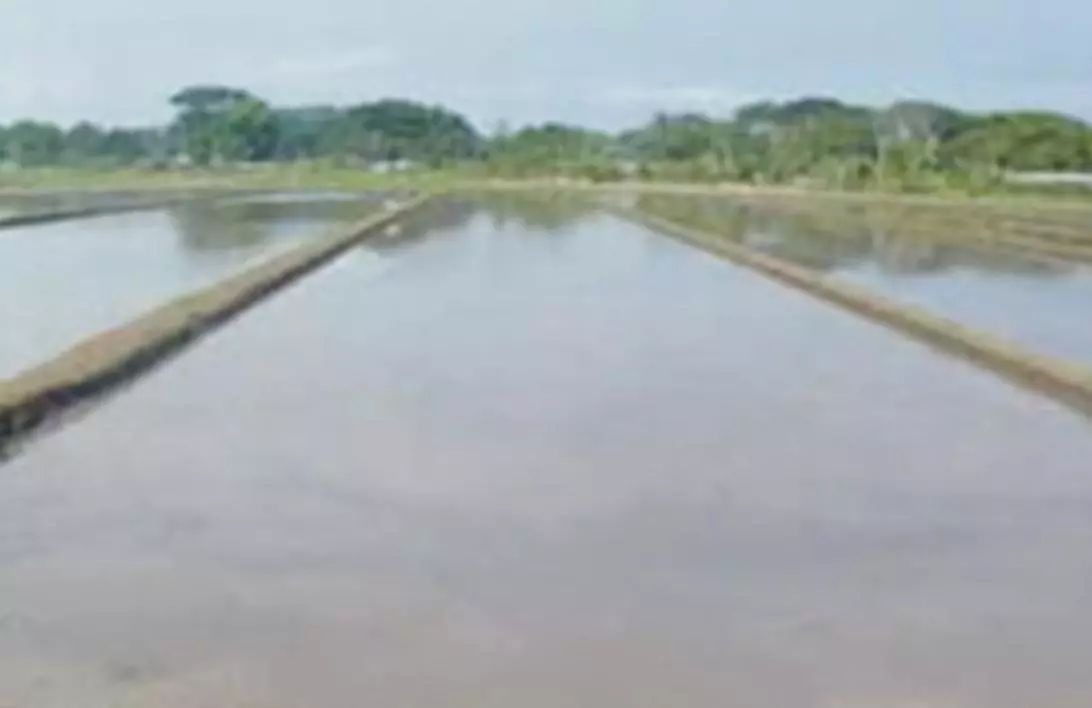 「成果推荐」激光控制平地技术 - 液压汇