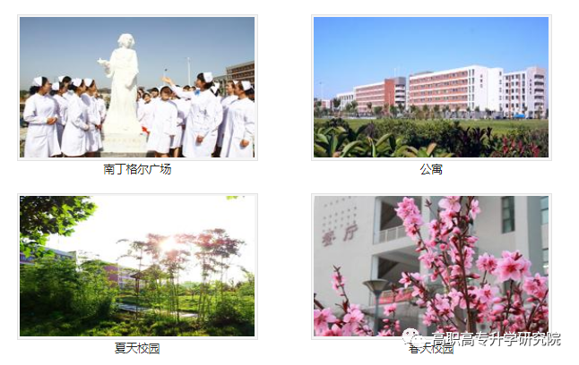 河南护理职业学院