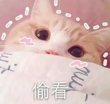 能写进作文中的动漫台词，快来摘抄