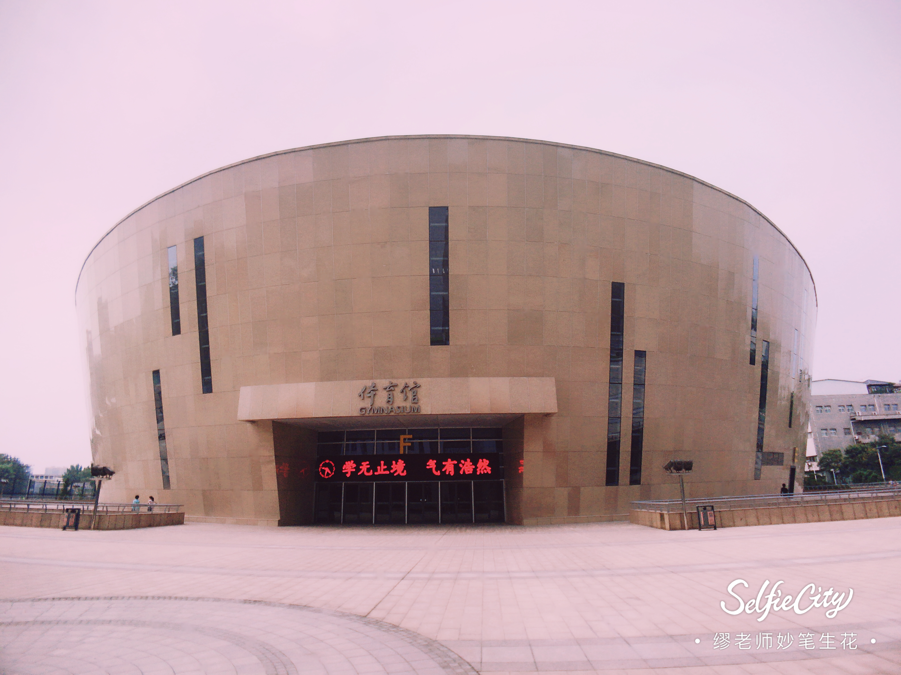 重点大学中外合办专业，优缺点都有3个，你会不会报考？