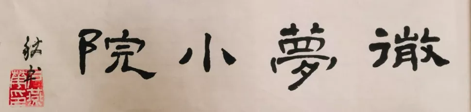 写给我的猫：亲爱的嘟嘟，请一辈子都跟我在一起吧