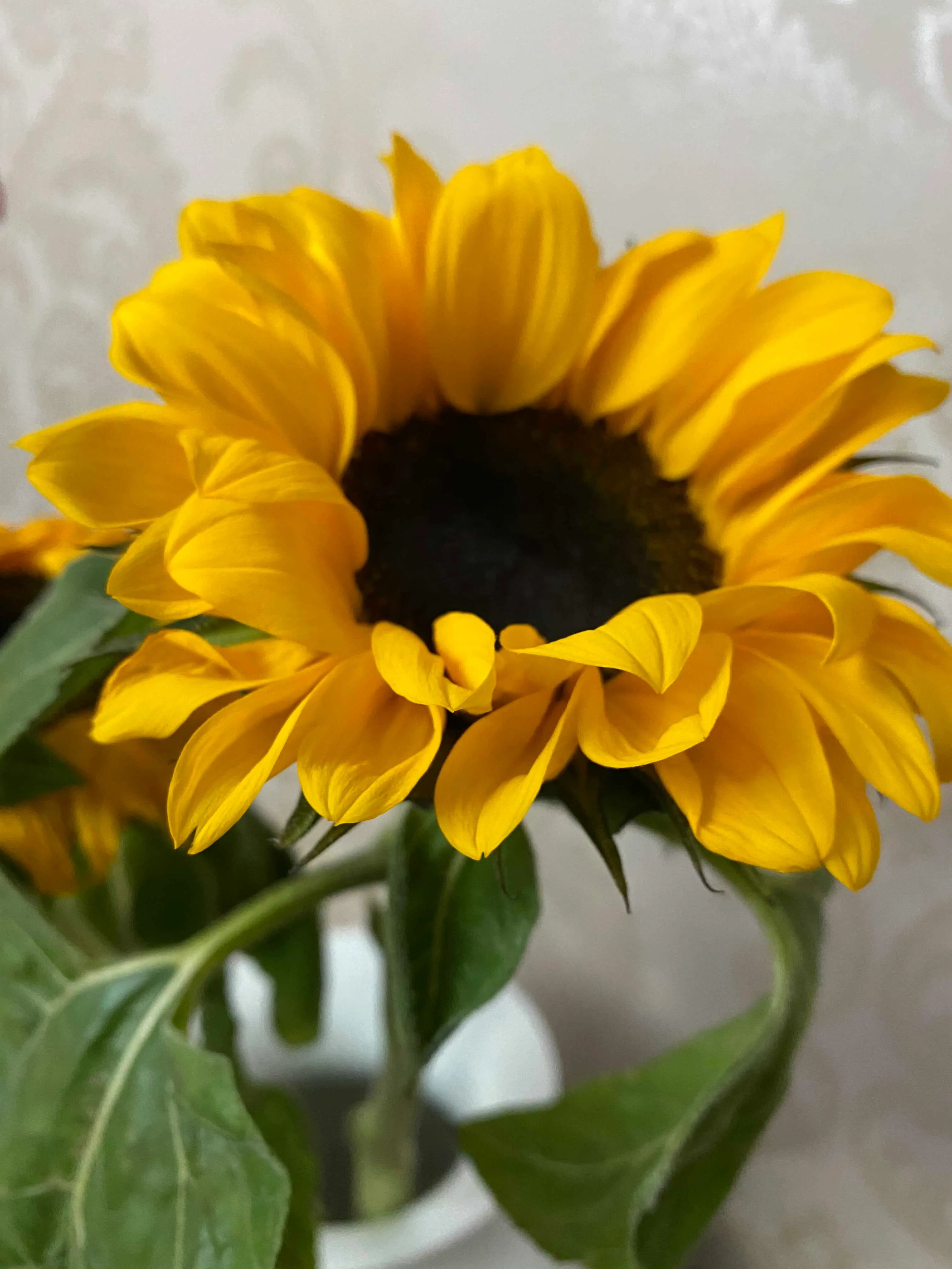 一个“同性恋”的心路历程，一个“艾滋病”大学生的心声