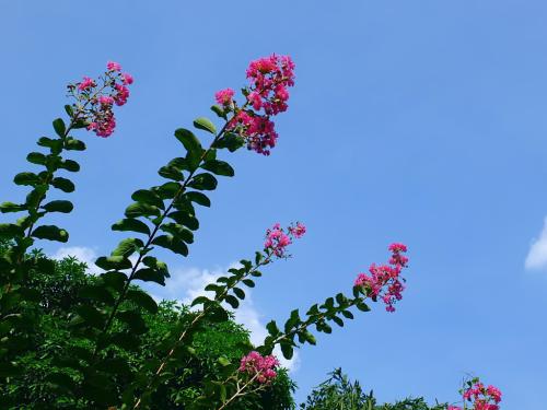 翻阅朋友圈邂逅的精致句子，阳光明亮，句句入心