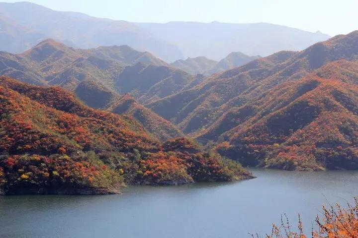 赏秋时节 | 打卡京郊这10条乡村公路，藏着北京最美的秋天