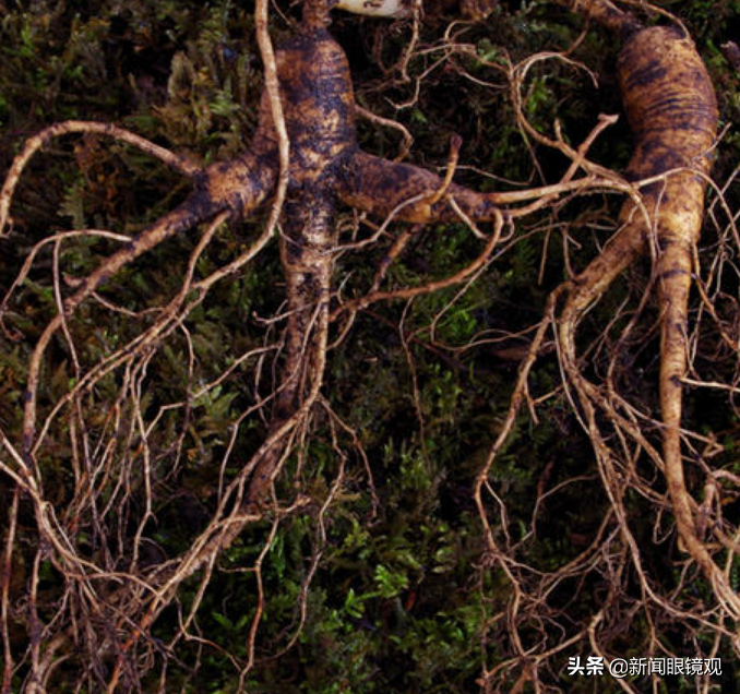 2019辽宁城市巡礼—本溪