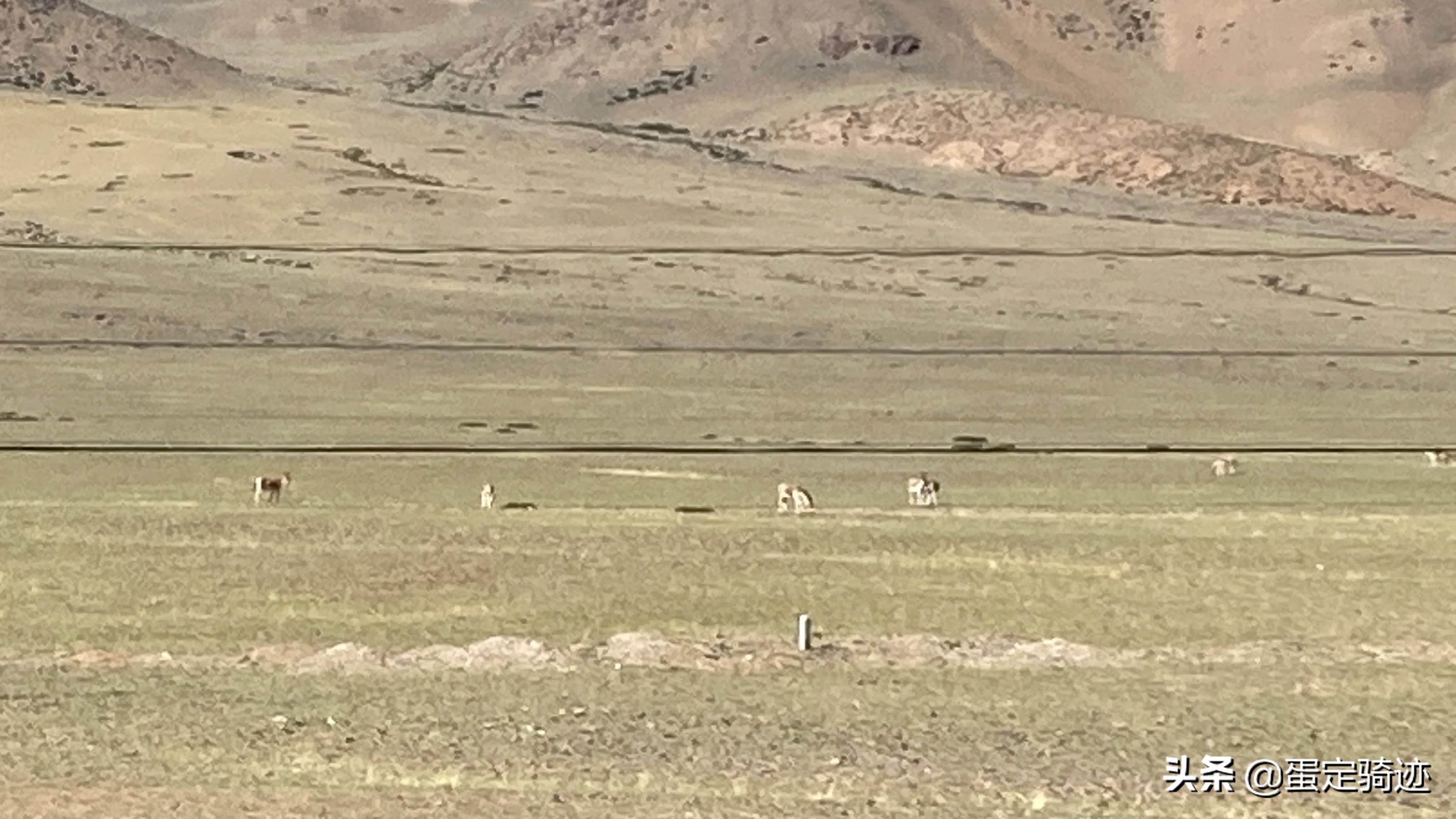 拉梅拉骑行晒照(独骑新藏线D13天，翻越拉梅拉达坂，扎营牧民羊圈)