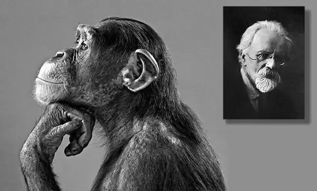 黑猩猩杂交实验,曾有5名人类女性为科学献身,最后成功了吗?