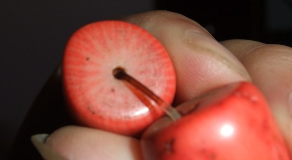 染色海竹仿红珊瑚的鉴定特征(红珊瑚珠子怎么辨别真假) 第6张