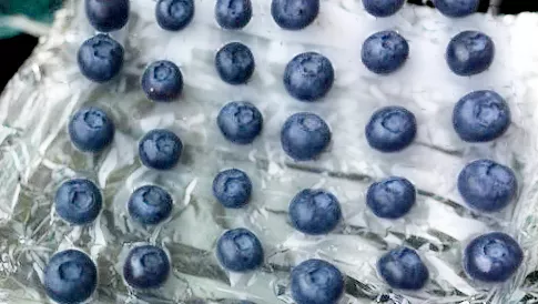 蓝莓果干制作过程（在家自制蓝莓干低卡小零食）