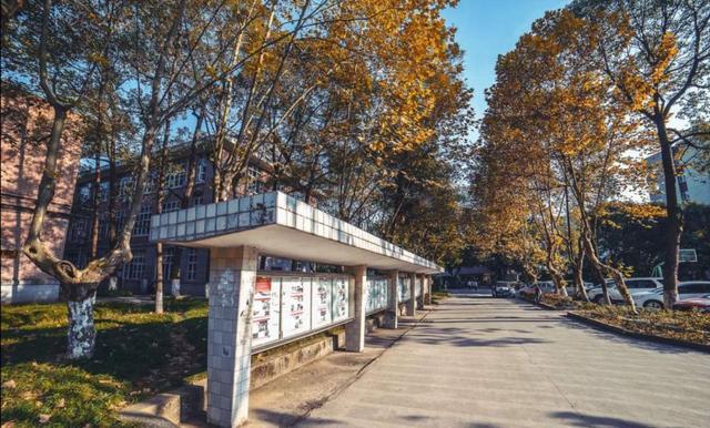 四川最具潜力三所“黑马院校”，实力碾压众多211大学，值得报考