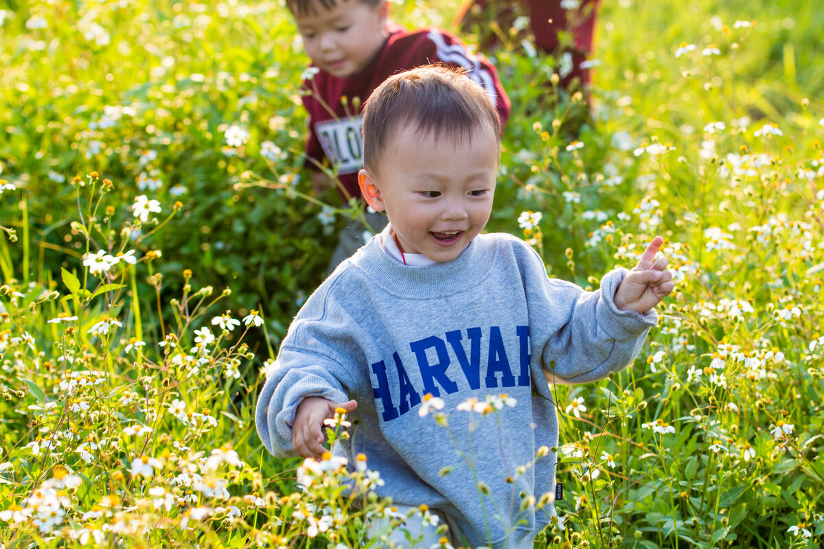 小班体育游戏老狼抓人(幼儿园春游活动方案)