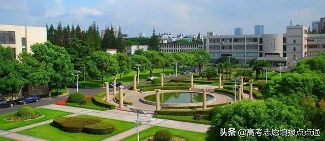 上海大学优势专业分析及2019、2018、2017年各省录取分数线