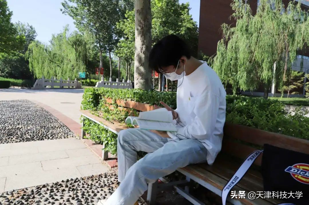 【毕业季】一枝一叶总关情，让我再次走近您（滨海校区）