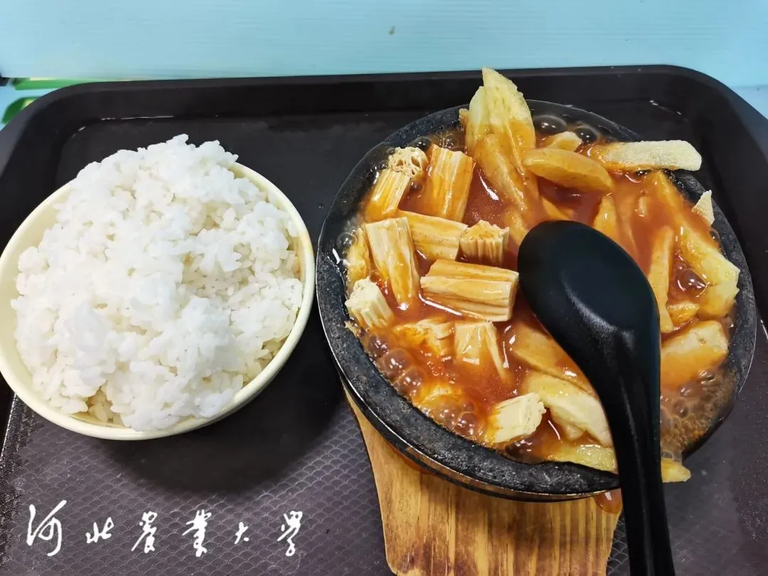 “河大的美女农大的饭”干饭人不能错过的河北农业大学来啦
