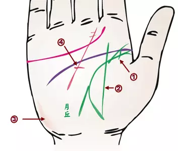 掌纹诊病：可以诊断肝癌、糖尿病、高血压、妇科病、脑溢血