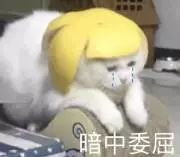 大学毕业论文救命指南，看完一键解决写不出论文大难题