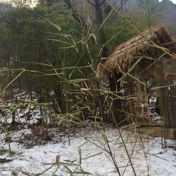 赋古风诗写竹林，寒宵霁雪，遥念山阳竹林，追思竹林六贤及竹林会