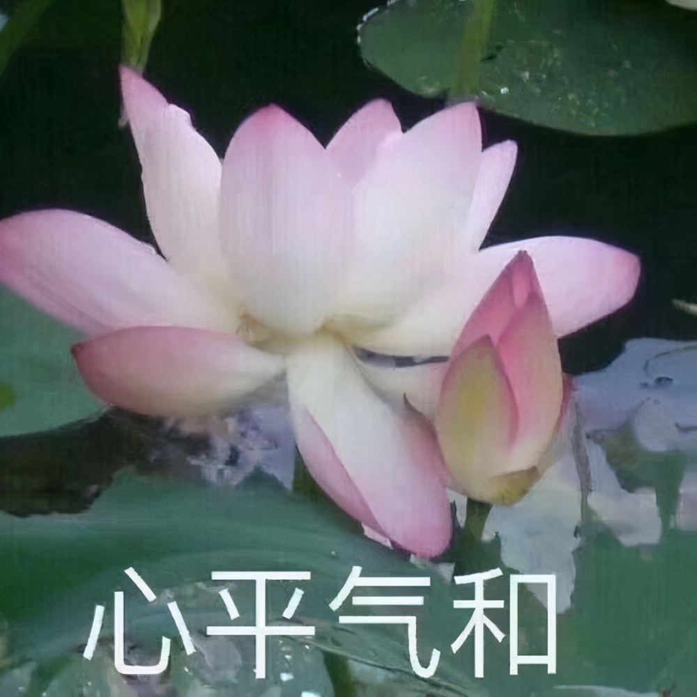 QQ大更新！5个新功能，最后一个比微信拍一拍更沙雕