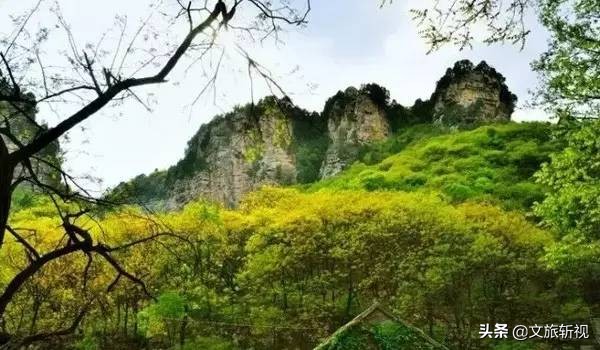 你们都知道济南山多，那济南究竟有多少座山？仅名山就有24座