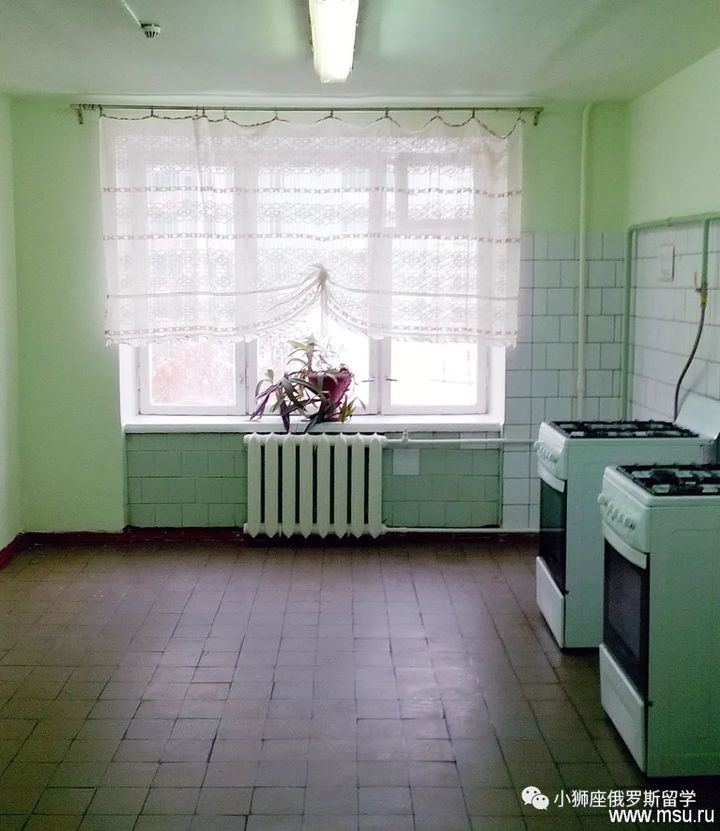 俄罗斯莫斯科国立大学介绍