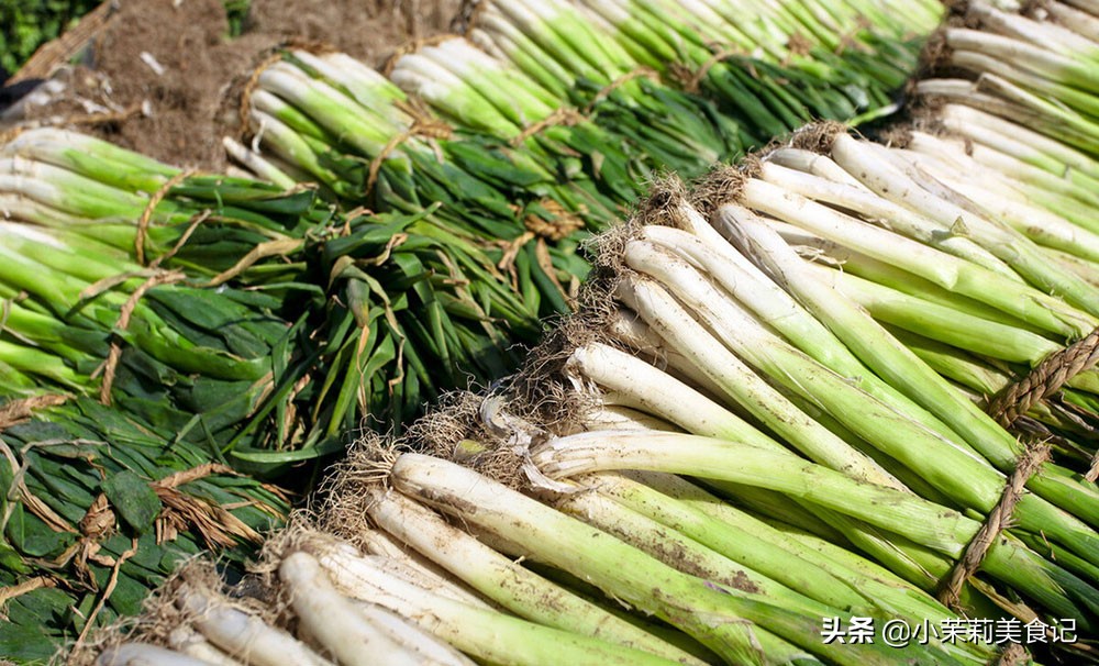 全国哪的大葱最好吃，经过评比，这8个地方比较出名，有你家乡没