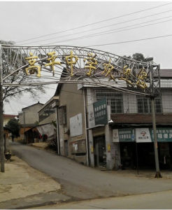 厉害：湖南这些民办高中不可小瞧，力压一些公立省级重点中学