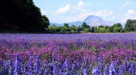 昆明最值得打卡的100个地方！你去过几个？