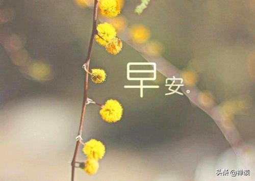 早安心语：心有多大，舞台就有多大