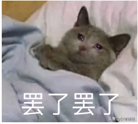 今年考研“卷王”专业！太卷了，复试线400+，高分调剂没机会