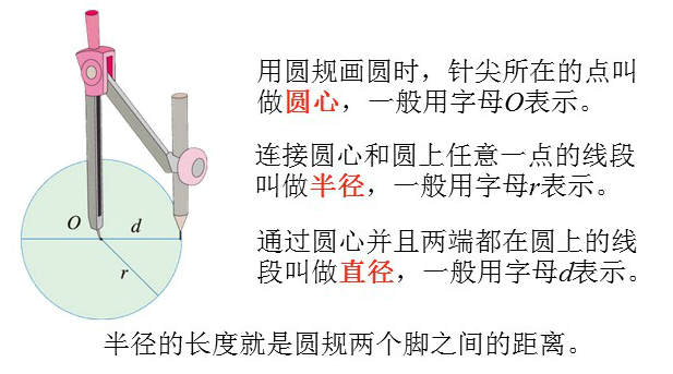《圆》第一课时易错点集合：半径、直径的概念以及它们之间的关系