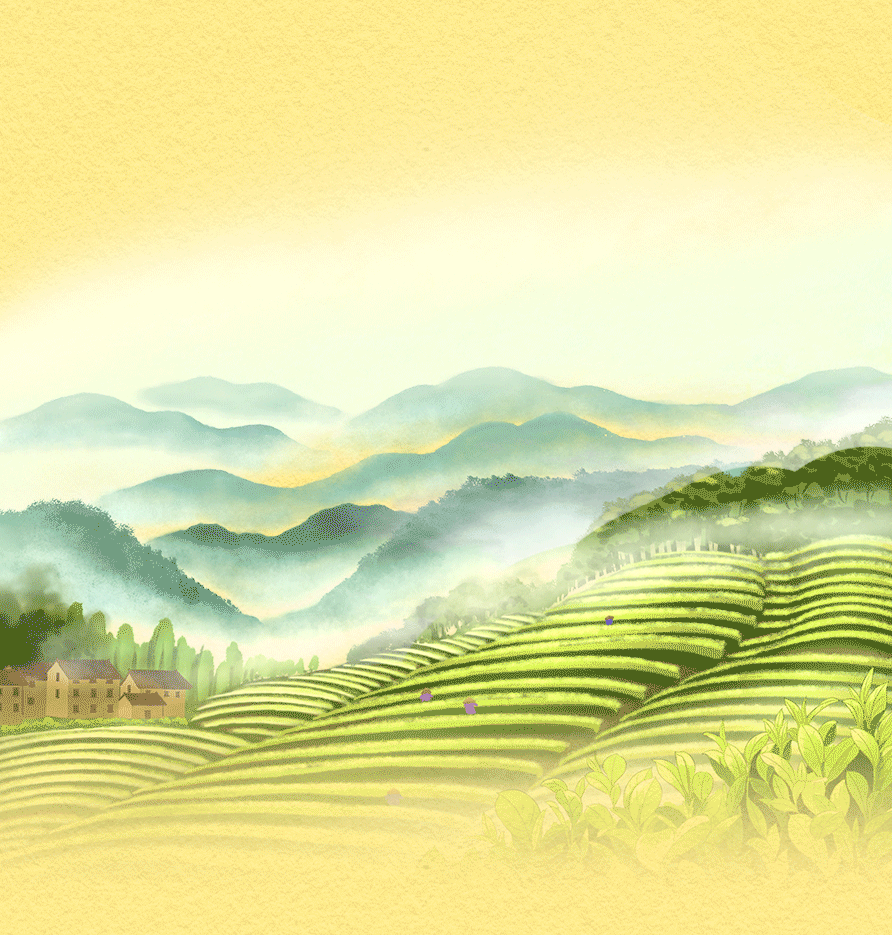 2021鐵觀(guān)音秋茶限量上市！山國工夫茶，懂茶人的選擇